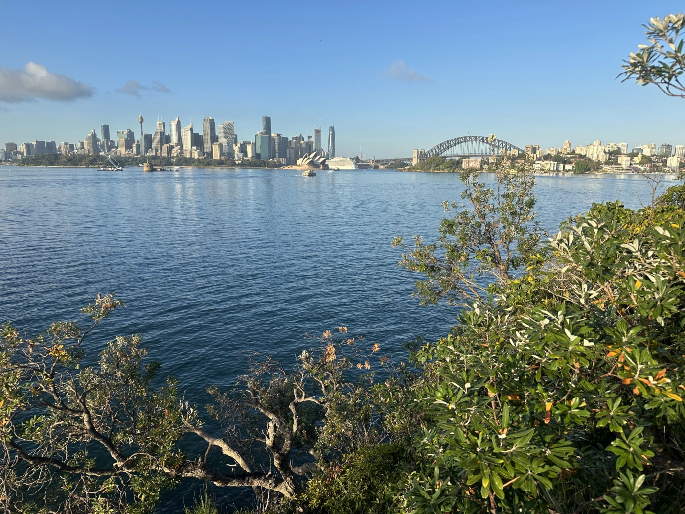 Sydney City Bridge views Cremorne Point